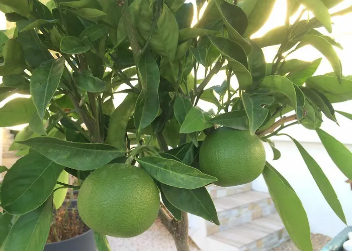 Colombier Fréjus